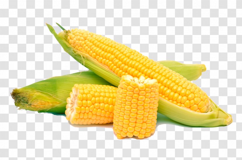 Corn On The Cob Maize Kernel Sweet Photography - Vegetable Transparent PNG