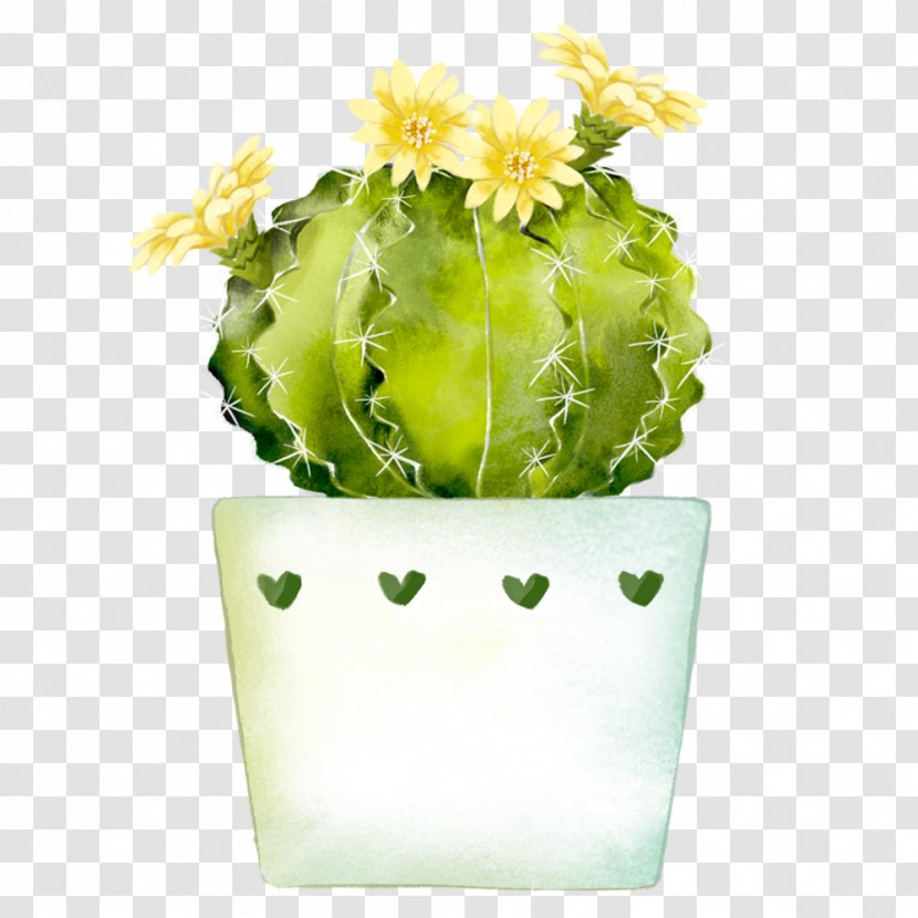 Watercolor Painting Cactaceae - Floristry - Cactus Potted Plants Transparent PNG