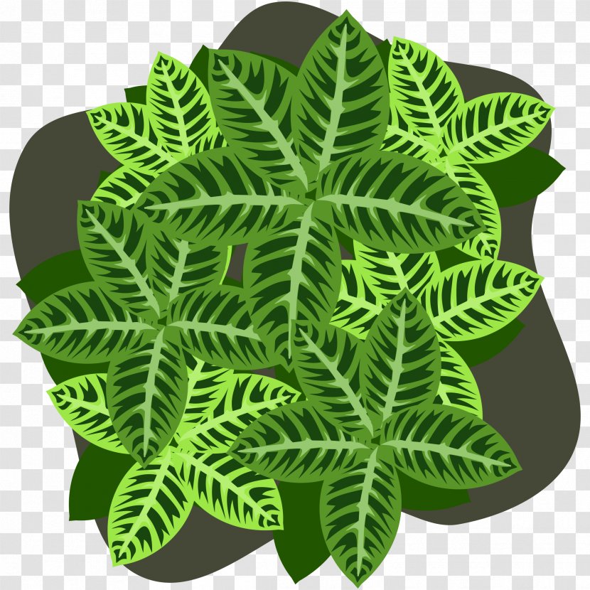 Plant Leaf - Four Clover Transparent PNG