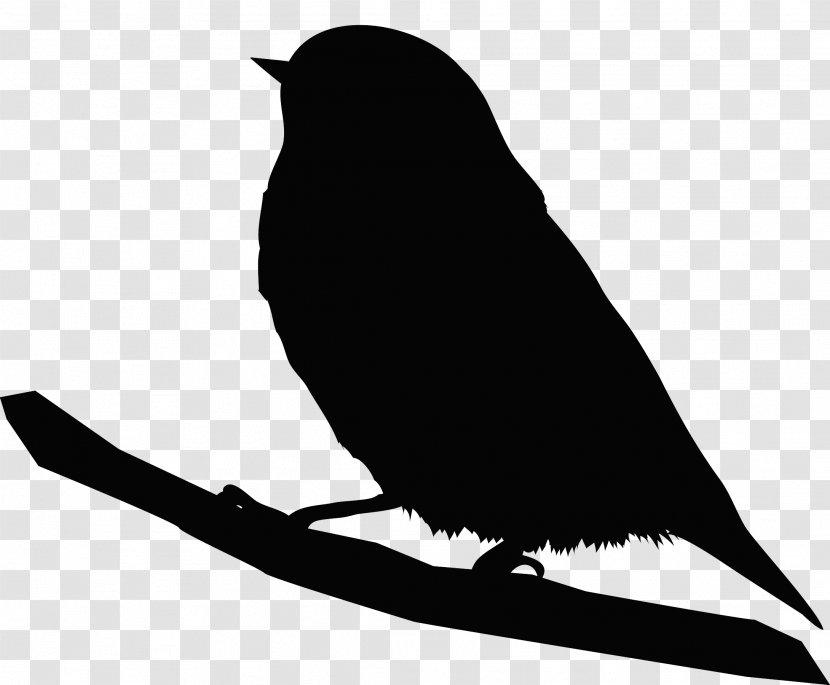 Bird Silhouette Clip Art Beak - Wildlife Transparent PNG