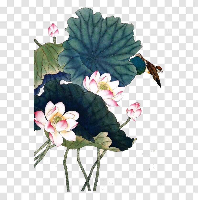 China Nelumbo Nucifera Flower Watercolor Painting - Plant - Ink Lotus Transparent PNG