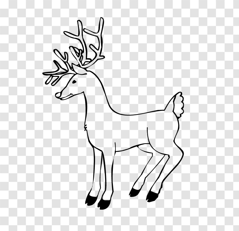 Reindeer Rudolph Santa Claus Coloring Book - Mammal - Antler Transparent PNG