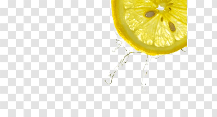 Lemon Hair Fuller's Earth Fashion Cleaning Transparent PNG
