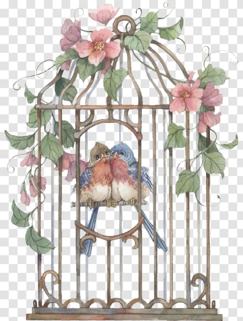 Birdcage - Painting - Cage Transparent PNG