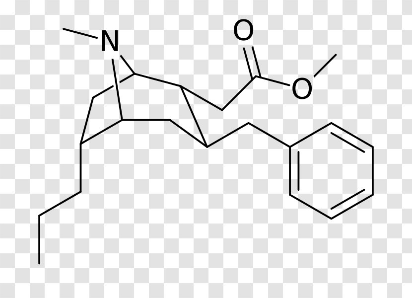 Catechol Catechin Acid Ester Phenols - Diagram Transparent PNG