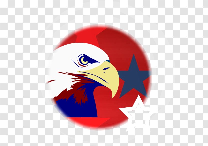 Bald Eagle Logo Beak Blue - Khaki Transparent PNG