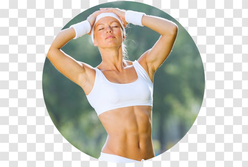 Balance-Board Physical Fitness Training Exercise - Tree - ·lose Weight Transparent PNG