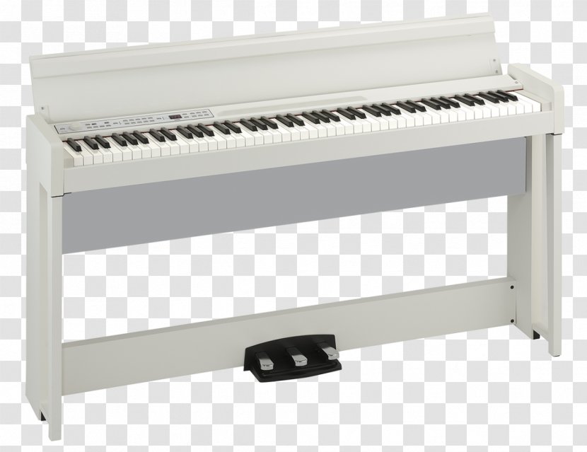 Digital Piano Korg Action Musical Instruments - Watercolor Transparent PNG