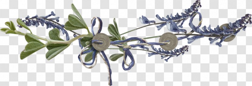 Floral Design Farmerama Cut Flowers Plant Stem - лаванда Transparent PNG