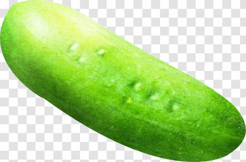 Cucumber Vegetable Fruit Melon - Cucumis Transparent PNG