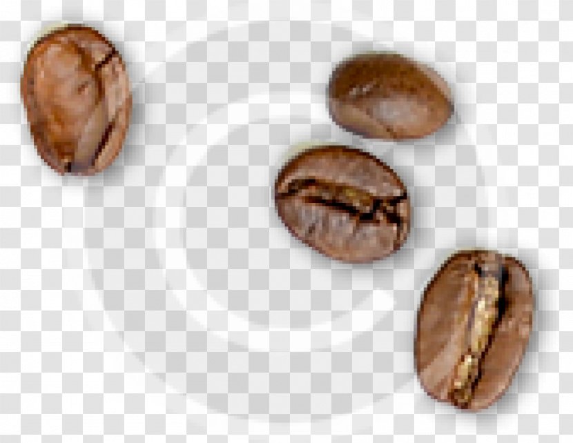 Cafe Iced Coffee Tea Roasting - Nut - Beans Transparent PNG