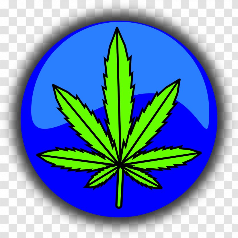 Medical Cannabis Drug Legality Of Sativa - Leaf Transparent PNG