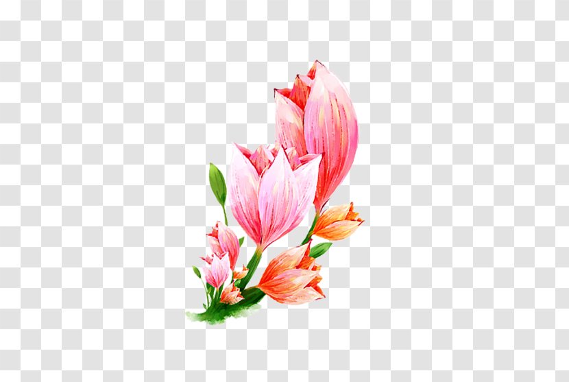 Floral Design Flower Illustration Poster - Sketch Transparent PNG