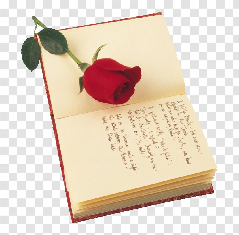 A Red, Red Rose Poetry Saint Georges Day Valentines - Stood Books Transparent PNG