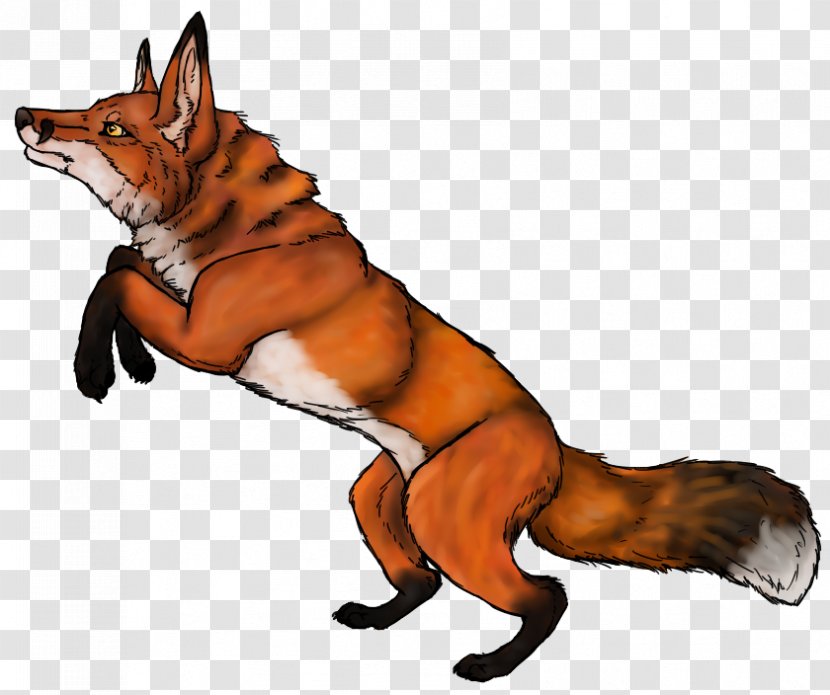 Red Fox Clip Art - Animal - Images Free Transparent PNG