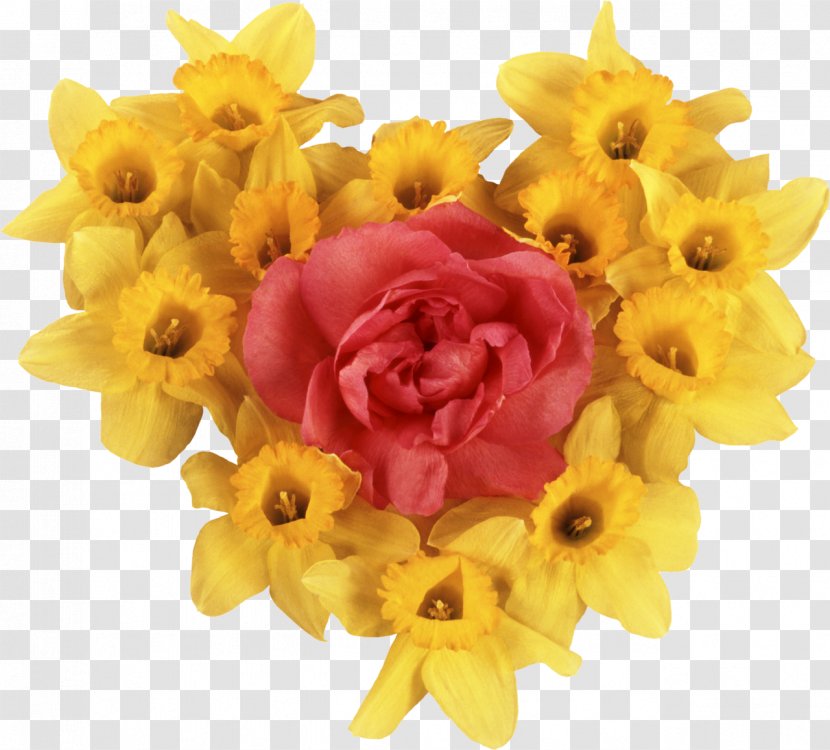 Flower Bouquet Narcissus Daffodil - Herbaceous Plant Transparent PNG