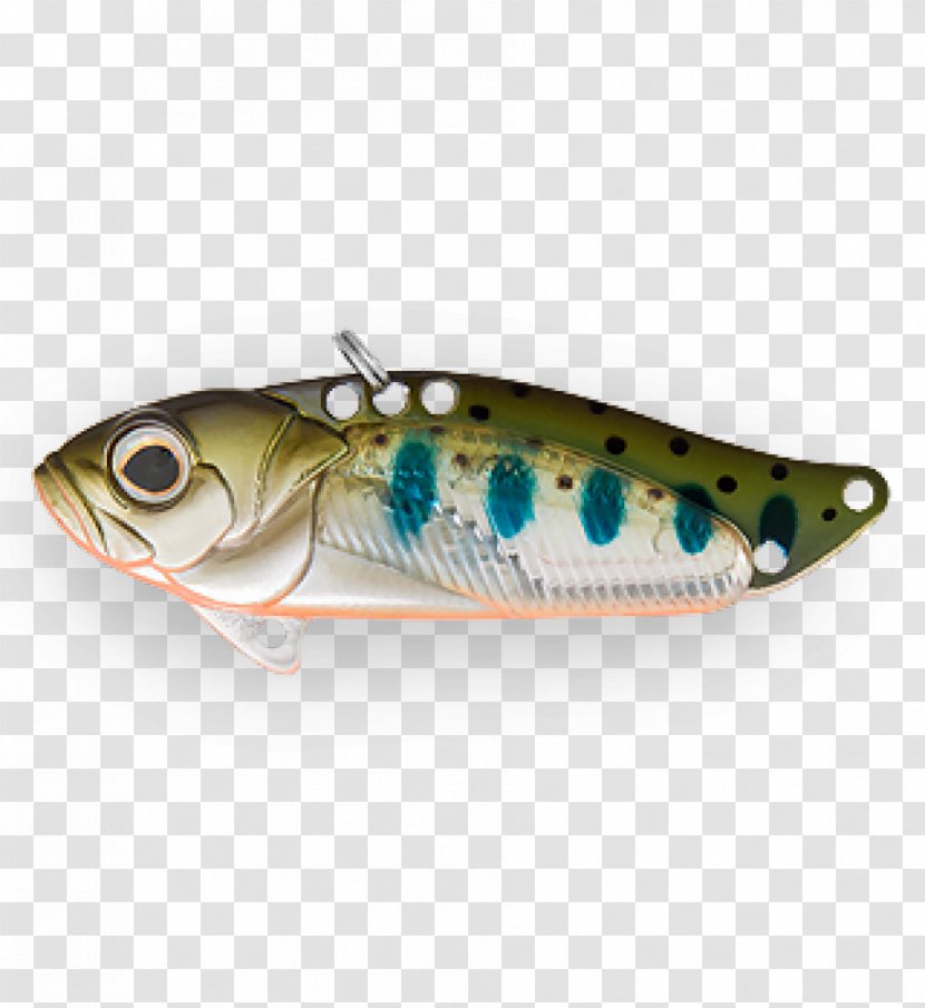 Spoon Lure Cicadidae Fishing Baits & Lures Sardine - Taiwan - Bony Fish Transparent PNG