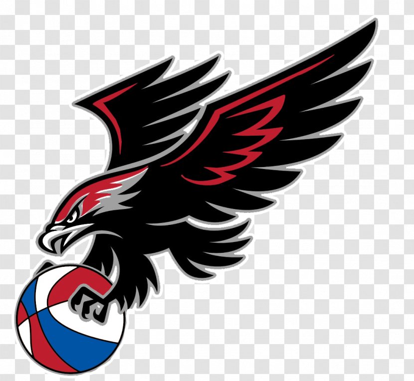 Williams Field High School Chicago Blackhawks Higley Unified District Sport - Bird Of Prey - Elite Clipart Transparent PNG