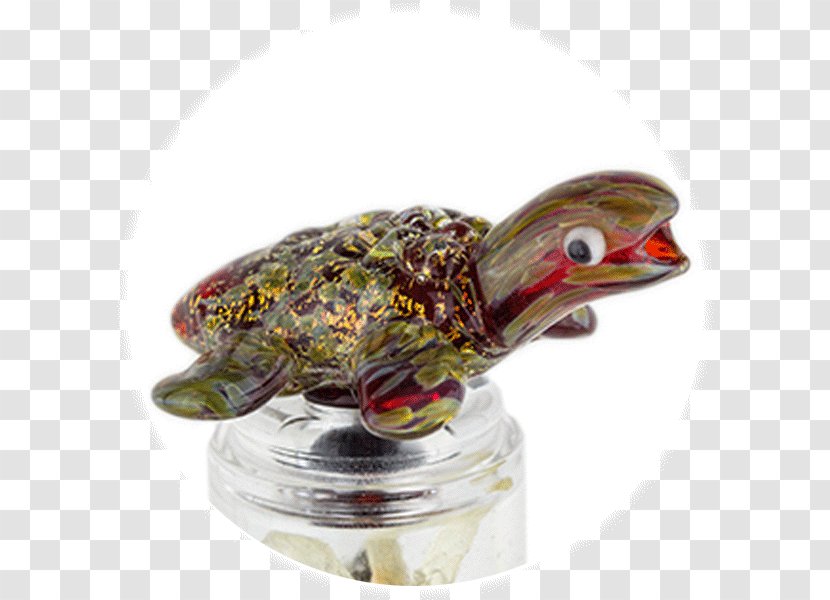 Reptile Borosilicate Glass Turtle Red Transparent PNG