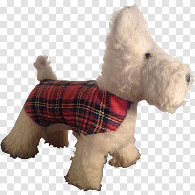 West Highland White Terrier Scottish Dog Breed Snout Transparent PNG