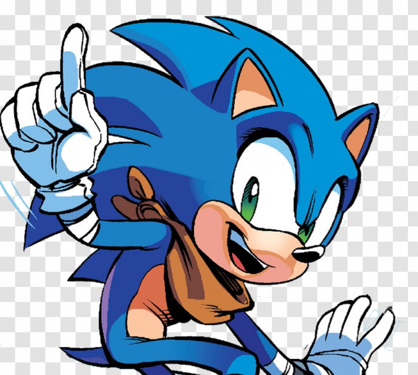 Sonic Boom Amy Rose Knuckles The Echidna Hedgehog Sticks Badger - Vertebrate Transparent PNG