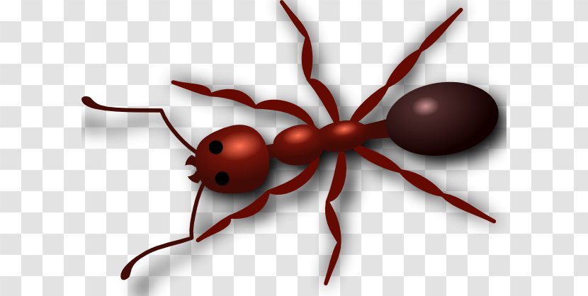Red Imported Fire Ant Clip Art - Membrane Winged Insect - Cliparts Transparent PNG