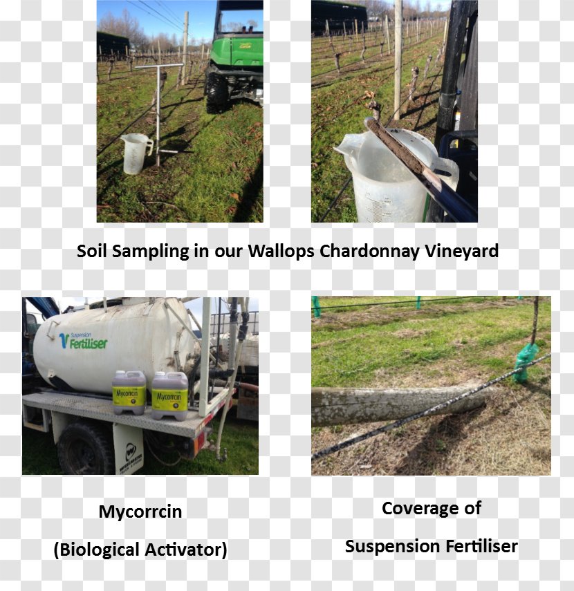 Soil Agriculture Grasses Public Utility Vehicle - Grass - Ground Transparent PNG