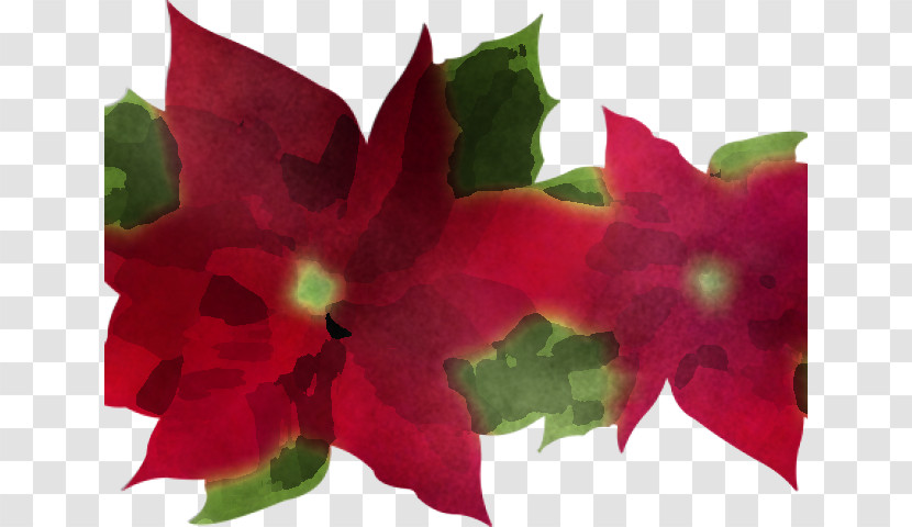Flower Petal Plant Red Leaf Transparent PNG