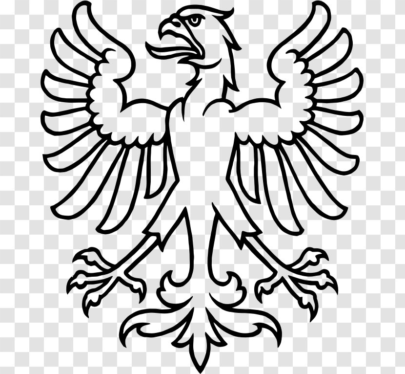 Zurich Bald Eagle Bird - Wing - Love Symbol Transparent PNG