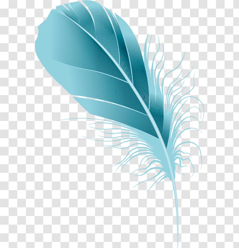 Blue Feather. - Drawing - Pen Transparent PNG