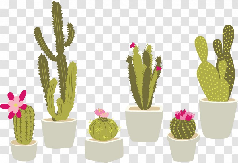 Cactaceae Houseplant Succulent Plant - Vector Bonsai Cactus Transparent PNG