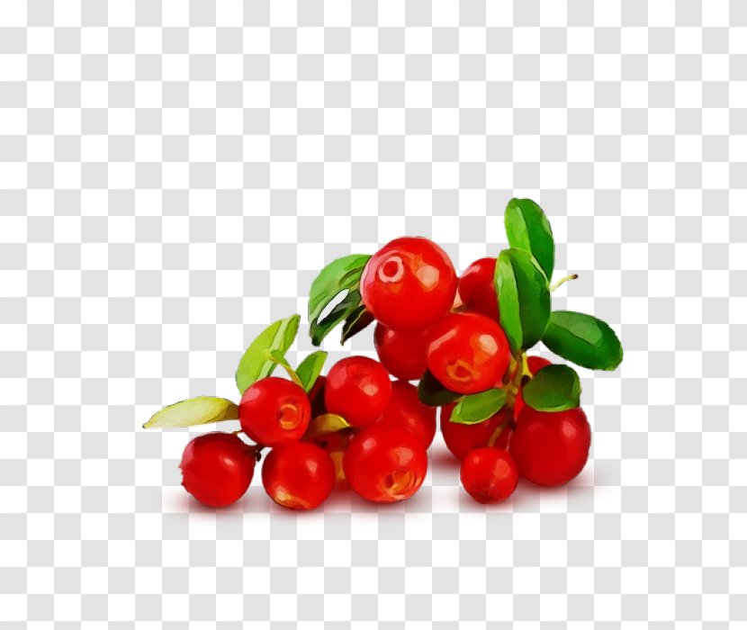 Fruit Berry Plant Lingonberry Food - Acerola Cherry Transparent PNG