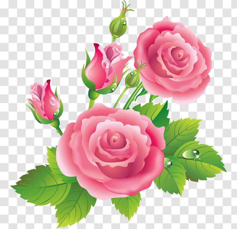 Garden Roses Centifolia Blue Rose Clip Art - Plant - Flower Transparent PNG