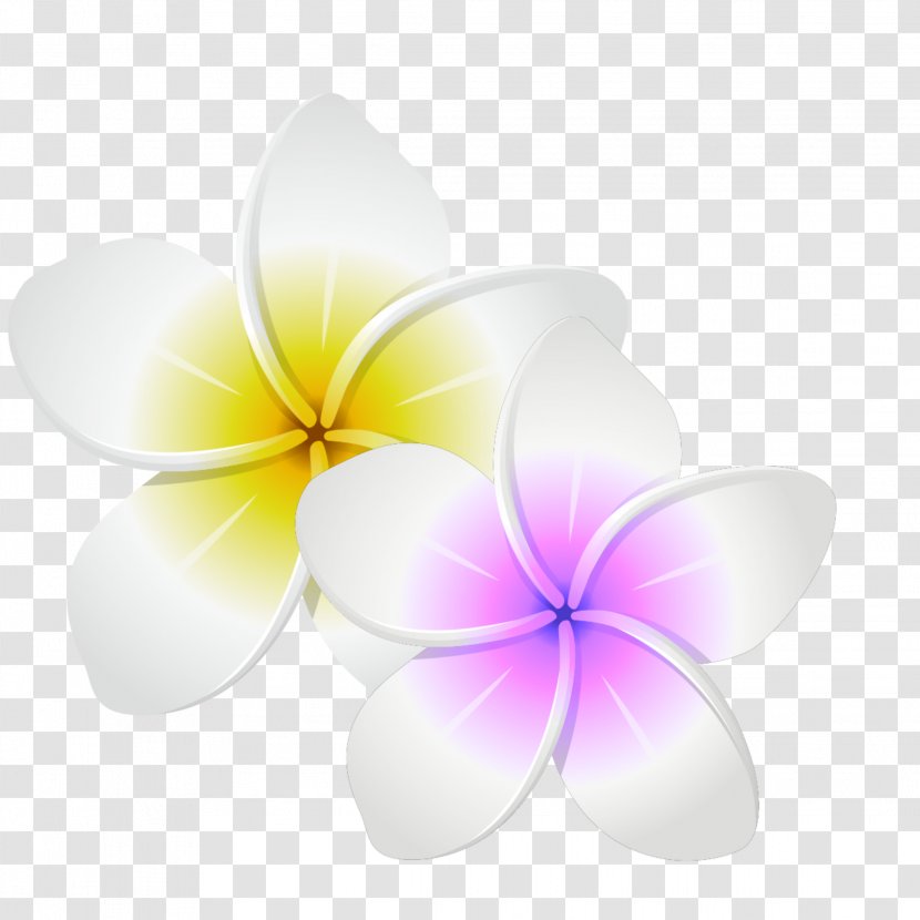 Desktop Wallpaper Petal Product Design Close-up Computer - Pink And Yellow Flower Logo Transparent PNG