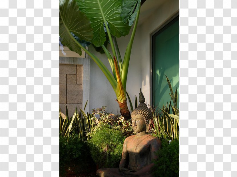 Arecaceae Flowerpot Houseplant Banana Leaf - Singapore Sentosa Transparent PNG