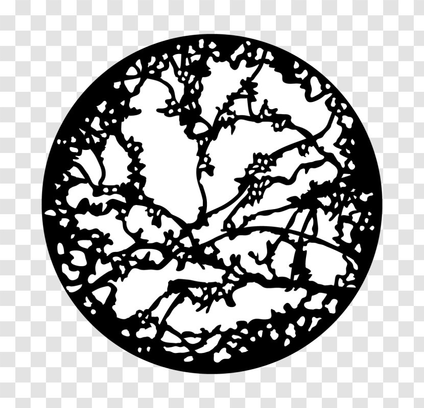 Oak Tree Drawing - Branch - Tableware Plate Transparent PNG