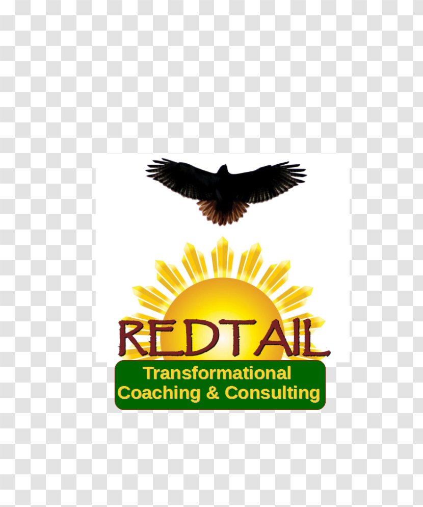 Eagle Logo Advertising Red-tailed Hawk Brand Transparent PNG
