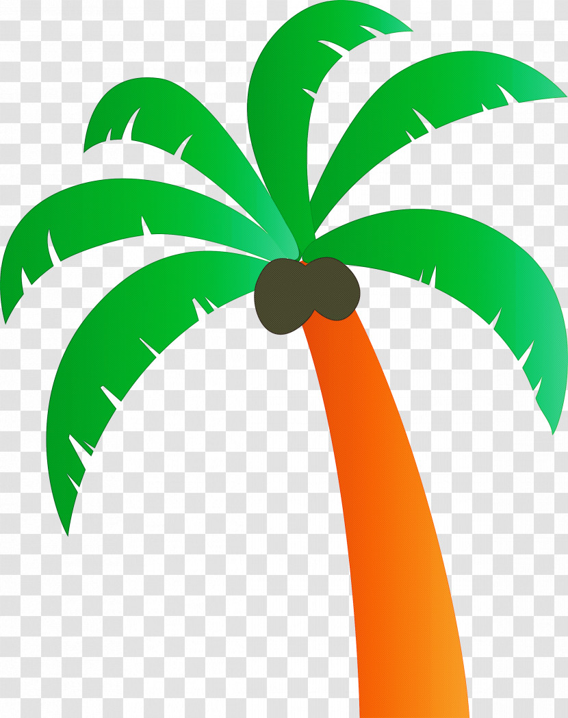 Palm Trees Transparent PNG