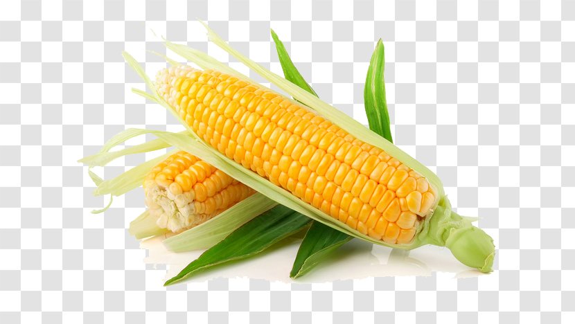 Corn On The Cob Candy Waxy Vegetable Sweet - Side Dish Transparent PNG