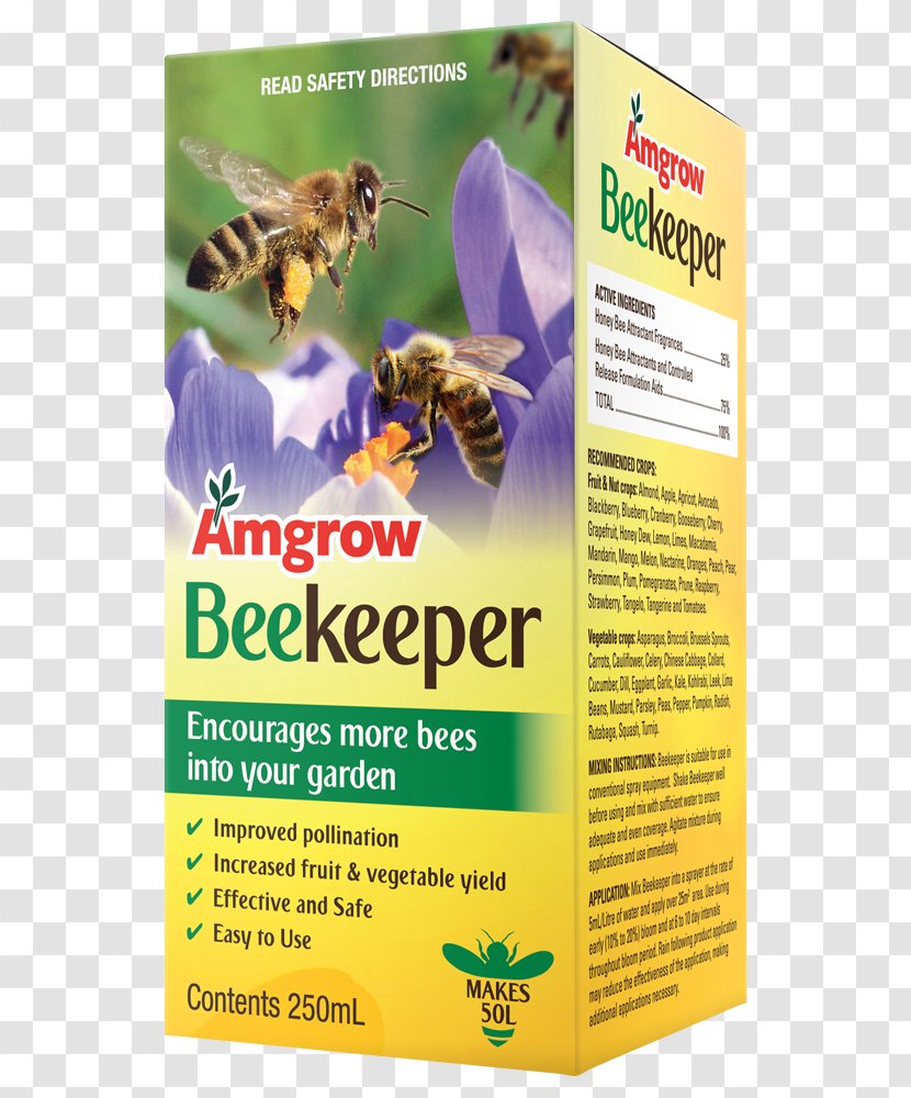Honey Bee Beekeeping Beekeeper Swarming - Insect Transparent PNG
