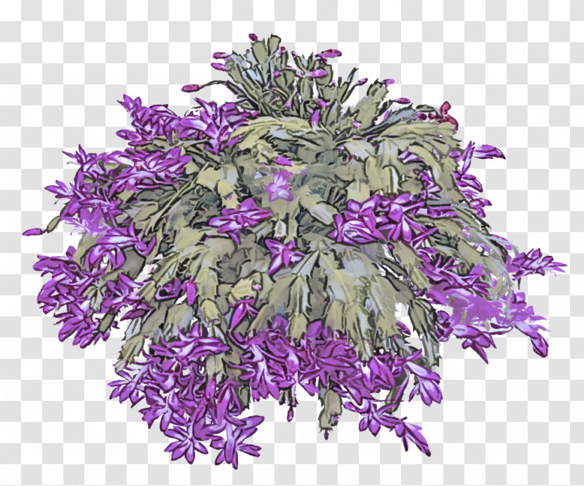 Floral Design Transparent PNG