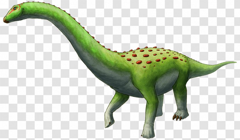 Velociraptor Quaesitosaurus Troodon Dinosaur Tyrannosaurus - Spinosaurus - Draws Transparent PNG