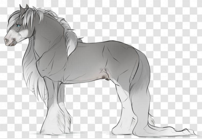Mane Mustang Pony Stallion Foal - Frame Transparent PNG