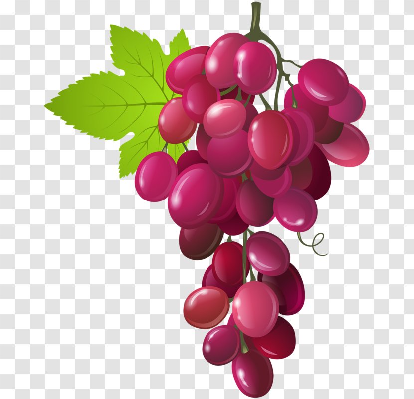 Red Wine Bottle Glass - Purple Grapes Transparent PNG