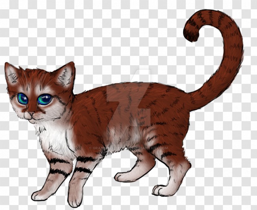 Kitten Cartoon - Drawing - Munchkin Sokoke Transparent PNG