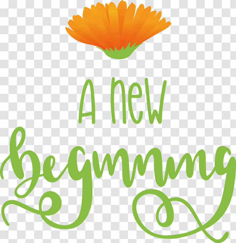 A New Beginning Transparent PNG