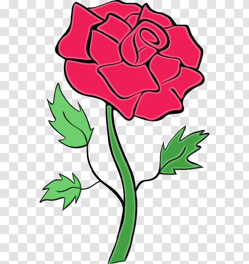 Flower Line Art - Plant - Hybrid Tea Rose Transparent PNG