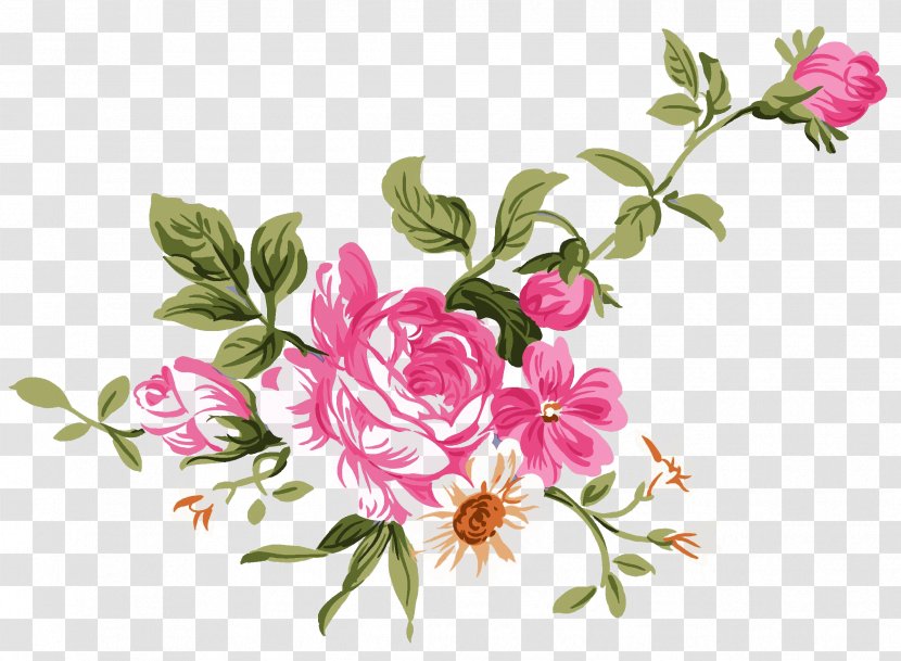 Peony Clip Art - Floristry - Roses Cluster Transparent PNG