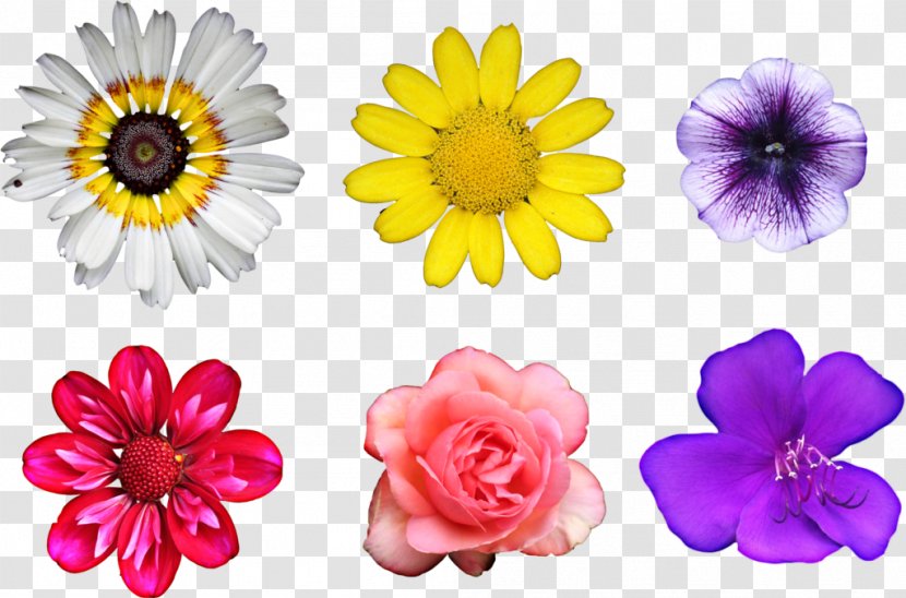 Flower Bouquet Clip Art - Cut Flowers - Real Transparent PNG