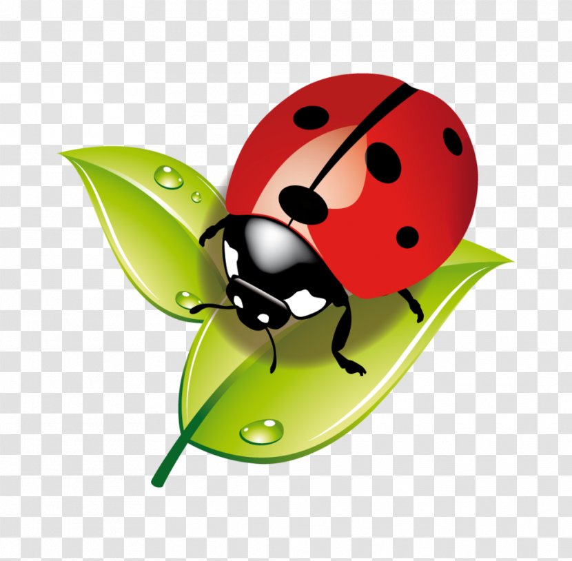 Insect Ladybird Child Aphid Ecology - Coloring Book Transparent PNG